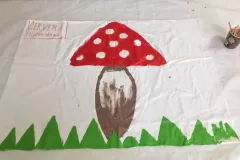 360105451_7030006217013692_217224071005784026_n_7030003603680620