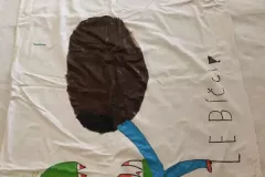 360116773_7030006350347012_2043904782878392607_n_7030003777013936