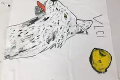 360133700_7030006097013704_3067470595230821573_n_7030003373680643