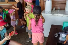 360147594_7040341222646858_8808541151565080074_n_7040282325986081