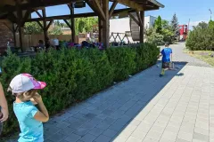 361653214_7032046823476298_8850850273071760115_n_7032026796811634