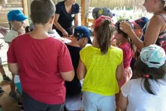 361892308_7032666406747673_1328726591411923970_n_7032666426747671