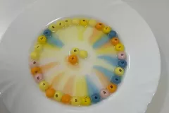 361910676_7036110189736628_8089201599311464224_n_7036057979741849