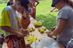 361923802_7040278855986428_3149595001500558161_n_7040226835991630