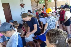 361936498_7032041276810186_6718847546055618113_n_7032022733478707