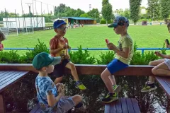 361939027_7032670910080556_6377636356512665748_n_7032665843414396