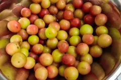 361955224_7036109659736681_2478378727632254412_n_7036057233075257