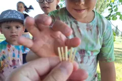 455359116_8583659891668199_5268783994910969487_n_8583647981669390