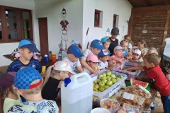 455626171_8601454716555383_7556977451748942338_n_8601436659890522