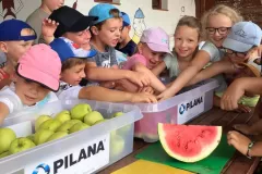 456031106_1213058169734577_4749995540469924669_n_1213057759734618