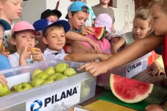 456435954_1213058156401245_4437248939633096278_n_1213057743067953