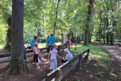 516951283_24616267321314200_9114930076220581267_n_24616243141316618