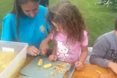 517473658_24608594412081491_8720750054687775043_n_24608594405414825