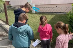 517529950_24608478268759772_7333846556170575270_n_24608476408759958