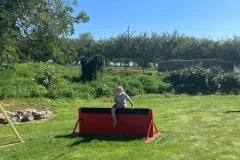 530755126_25072671302320574_5781888891800722779_n_25072649985656039