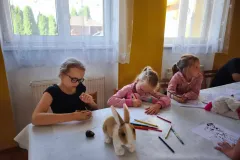 530768566_25063302473257457_7917321433127152349_n_25063280093259695