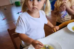 531042818_25063328449921526_8356719594383426799_n_25063294733258231