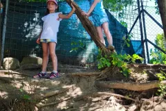 531954730_25072654898988881_1661488810017344618_n_25072638312323873