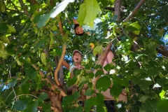 531993204_25063318043255900_8947381540815464441_n_25063302913257413