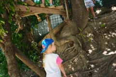 532017620_25072658535655184_7538412581335269768_n_25072640418990329